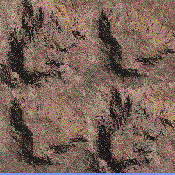 DUGGAN_maps_2_Fox_Holes_2 minimap