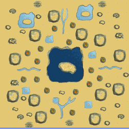 Lake Volcano minimap