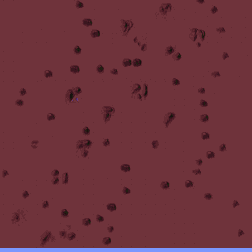 Minimap: Mechan Terra