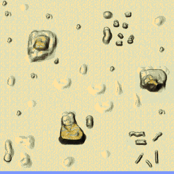 Silver Sands minimap