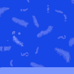 (TA_F)Festin de Méduses minimap