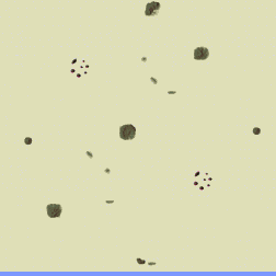chris2 in the desert minimap