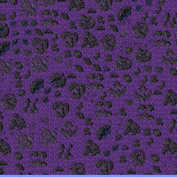 PRO5-Crystal Downs- minimap