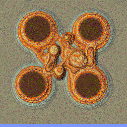 echoes minimap