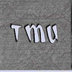 tmumap minimap