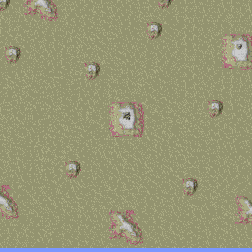 [V] Irish Desert minimap