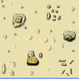 [V] Silver Sands minimap
